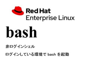 非ログインシェル（bash）
